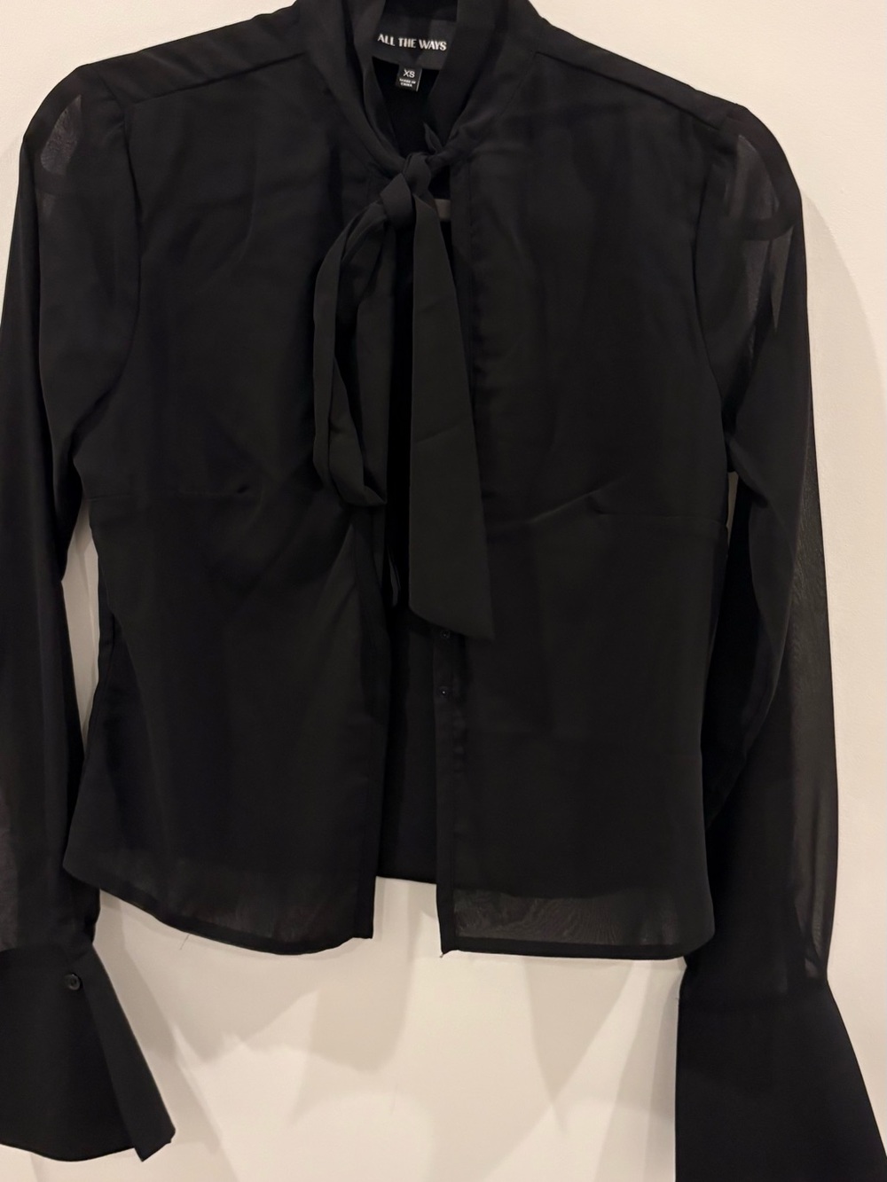 Sheer Chiffon Tie Blouse
